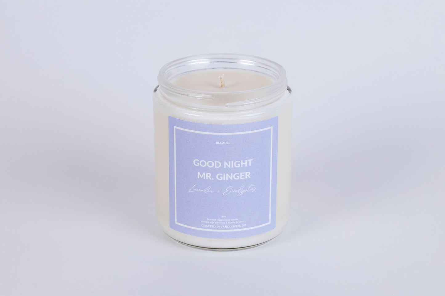 Good Night Mr. Ginger