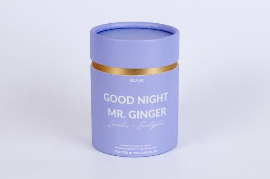 Good Night Mr. Ginger
