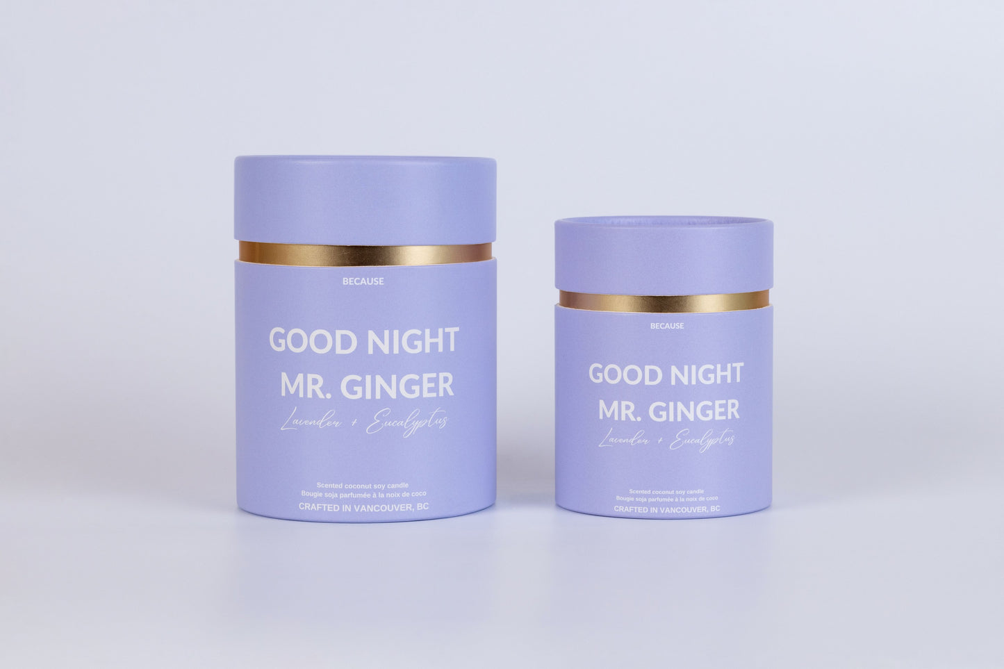 Good Night Mr. Ginger