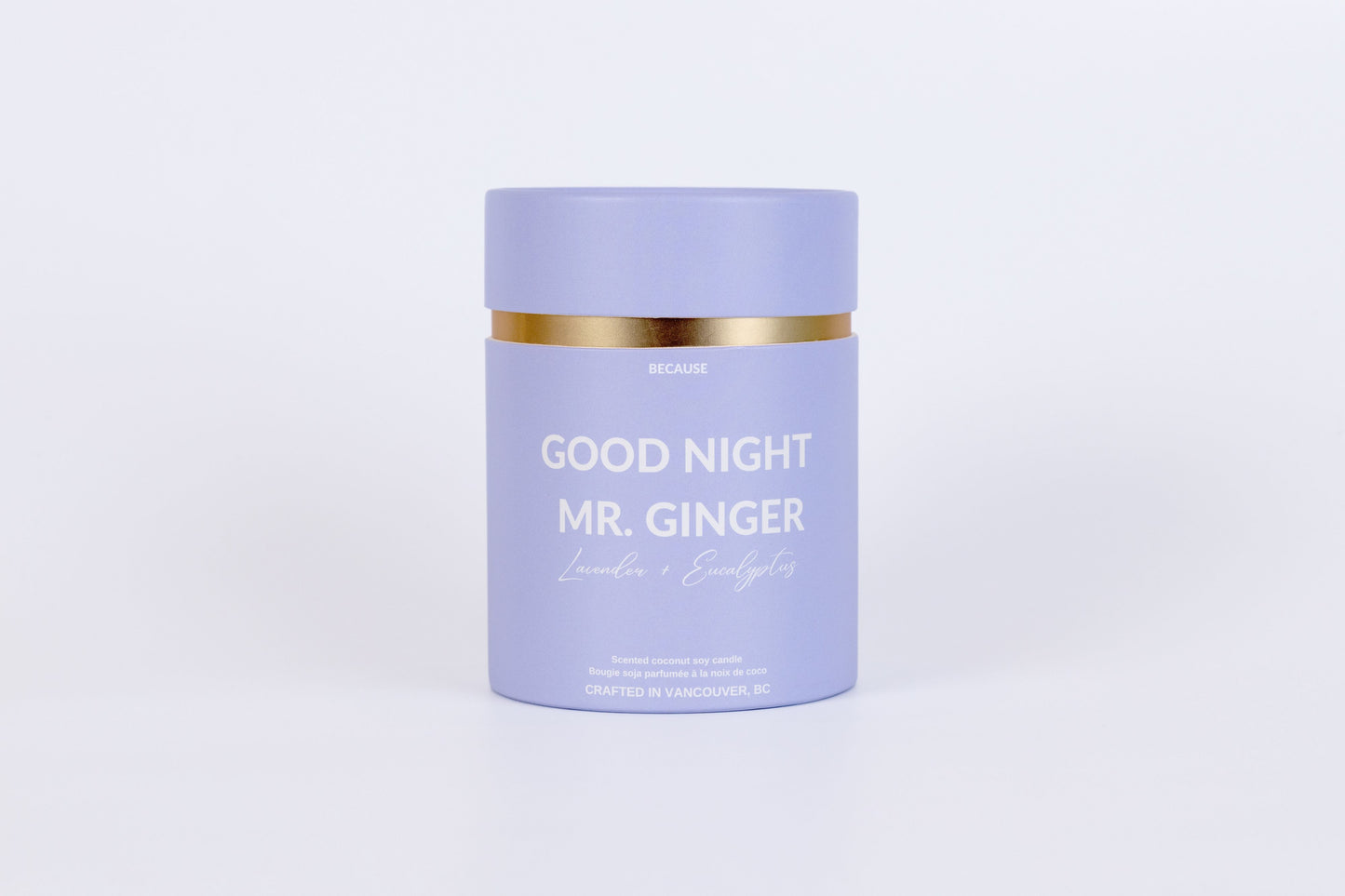 Good Night Mr. Ginger